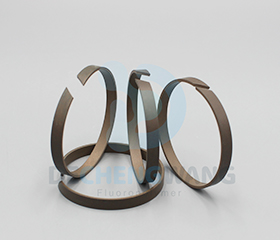 PTFE Guide Ring