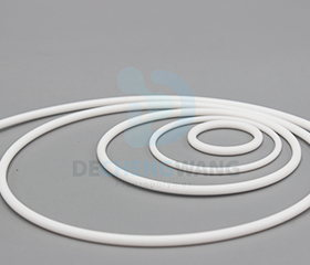 PTFE O Ring