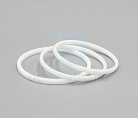 PTFE Seal 3