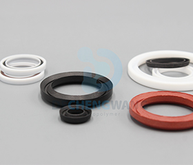 PTFE Seal 4