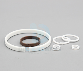 PTFE back up rings