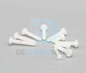 PVDF Screws