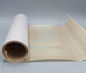 White PTFE etched film 1