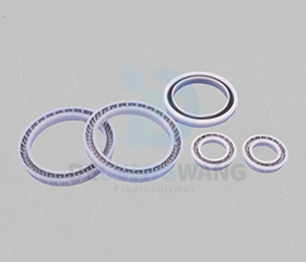 弹簧蓄能密封圈